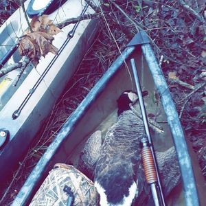 Meet your Posher, Logan